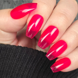Sorbet