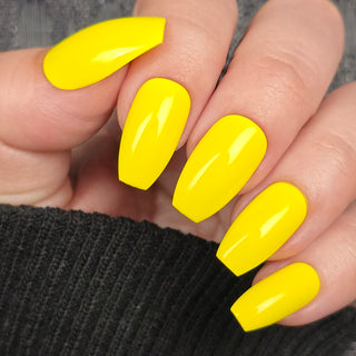 Sunshine Splash