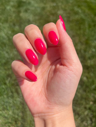 Sorbet
